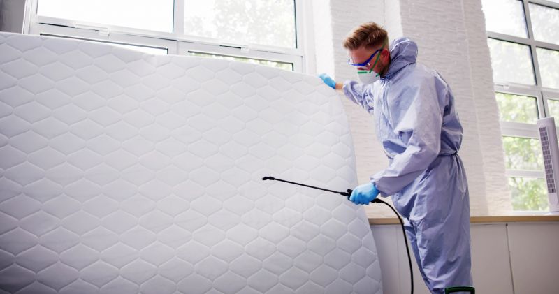 Bed Repair Service