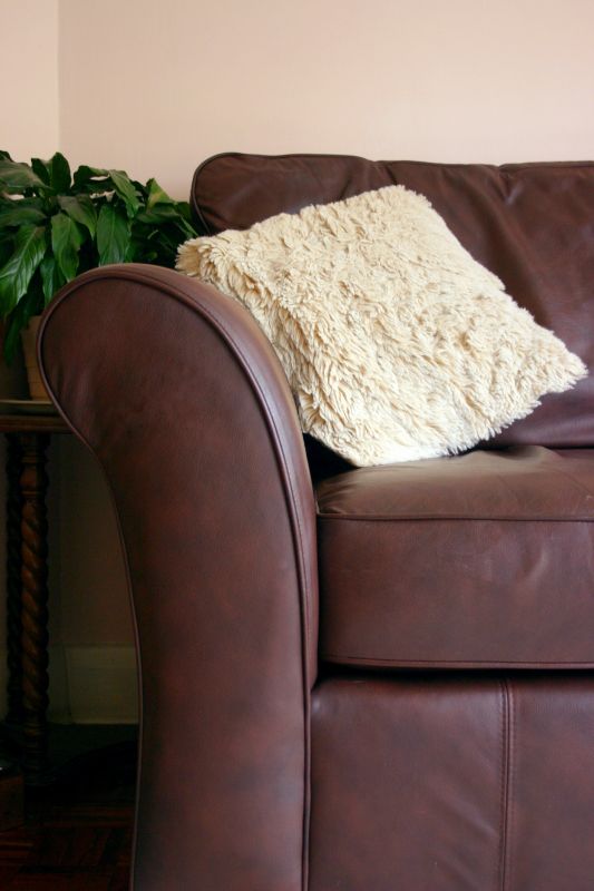 Couch Repair Service